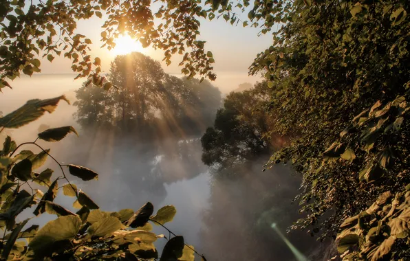 Rays, fog, river, sunrise, dawn
