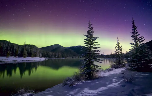 Winter, the sky, stars, snow, trees, mountains, Northern lights