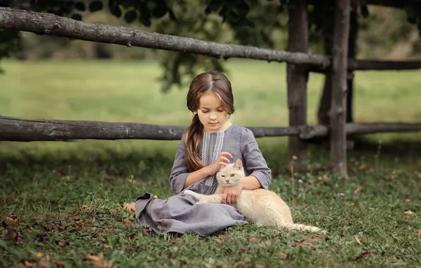 Picture cat, summer, cat, nature, animal, dress, girl, child