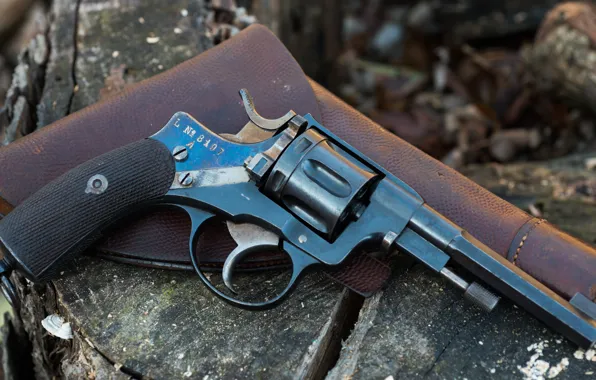 Revolver, holster, 1887