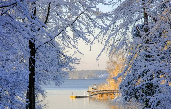 Winter, snow, trees, South Carolina, South Carolina, Lake Murray, Lake Murray