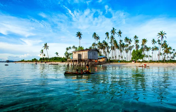 Picture sand, sea, tropics, palm trees, shore, island, Malaysia, Malaysia