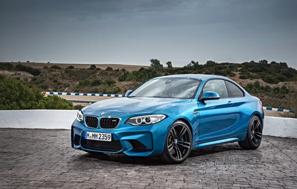 Picture BMW, coupe, BMW, blue, F87