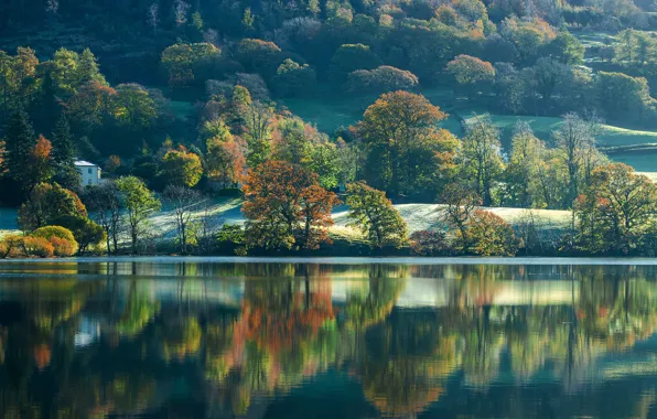 Autumn, trees, lake, England, slope, England, Cumbria, Cumbria