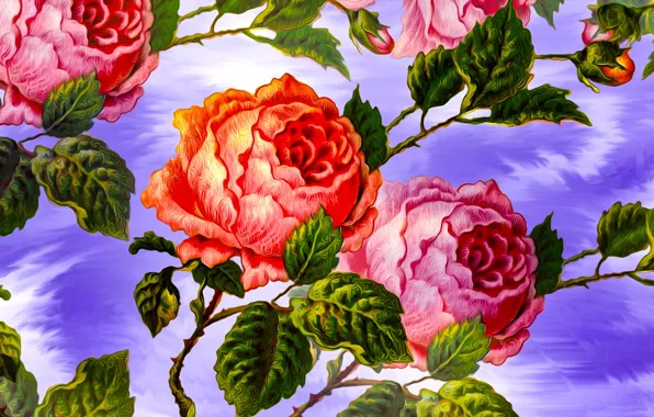 Graphics, Flowers, Color