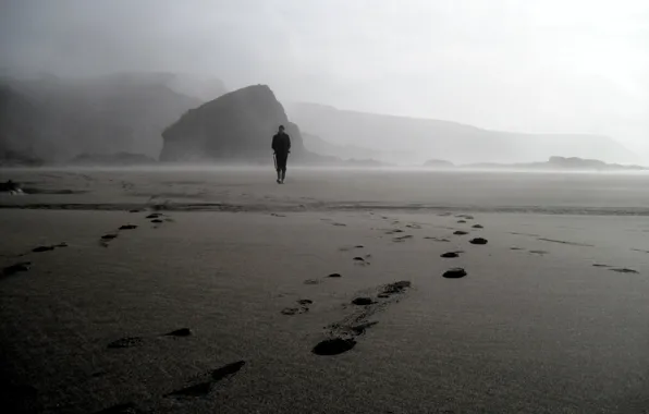 Beach, fog, stone, male