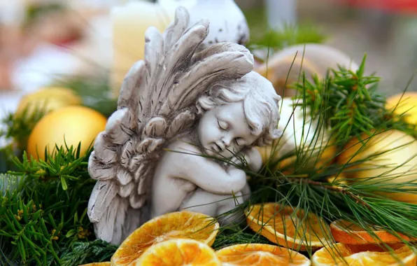 Balls, branches, pose, toy, child, wings, oranges, feathers