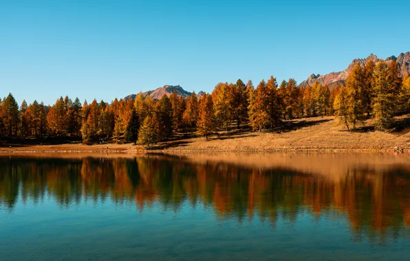 Autumn, grass, trees, mountains, reflection, shore, beautiful, pond