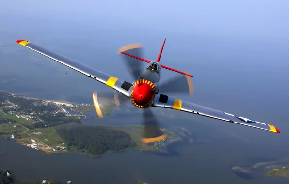 Picture Mustang, P-51, aircraft