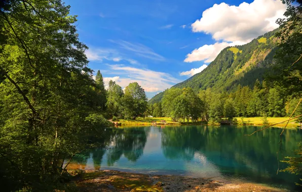 Picture forest, clouds, mountains, nature, lake, tree, forest, nature