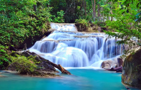 Picture greens, trees, nature, waterfall