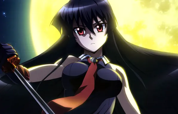 Girl, katana, Akame, Akame ga kill, akame GA kill, night raid