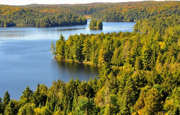 Forest, the sky, trees, landscape, river, island