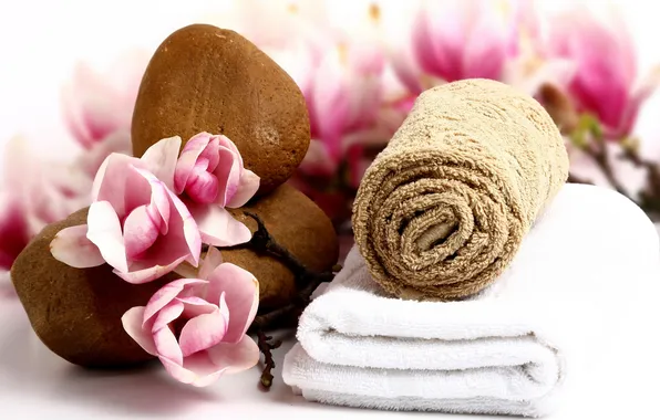 Picture flowers, stones, towel, petals, pink, rose, pink, flowers