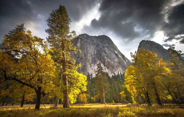 Autumn, trees, mountains, Yosemite National Park