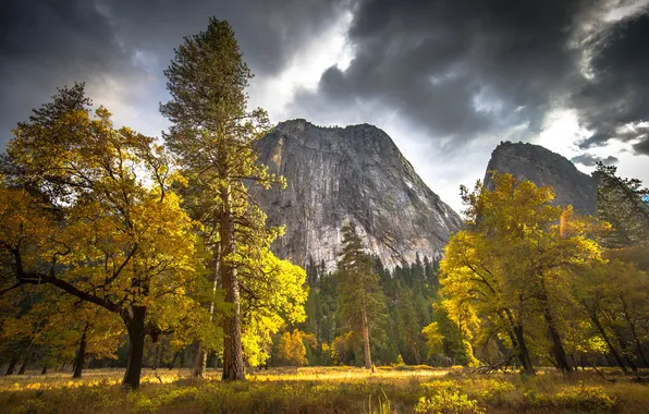 Picture autumn, trees, mountains, Yosemite National Park