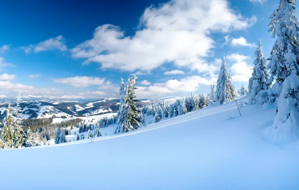 Winter, the sky, clouds, snow, trees, mountains