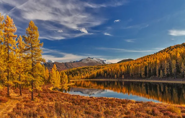 Mountains, lake, horizon, space, yellowed grass, Autumn Altai, Marina Yudinskikh