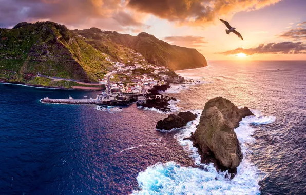 Picture photo, Portugal, Madeira