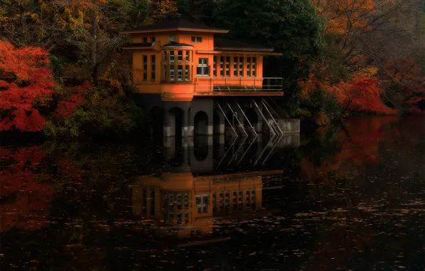 Picture autumn, forest, nature, river, paint, Japan, a house on the water