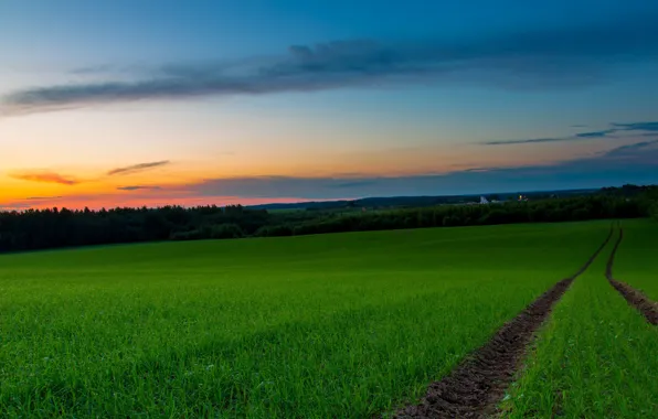 Field, sunset, trail