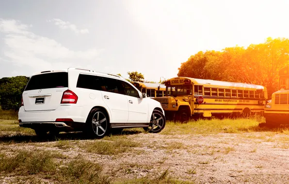 White, the sun, buses, bus, mercedes benz gl