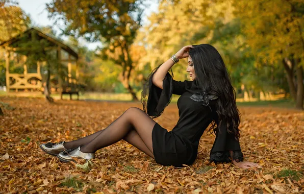 Autumn, leaves, girl, pose, hair, dress, brunette, legs