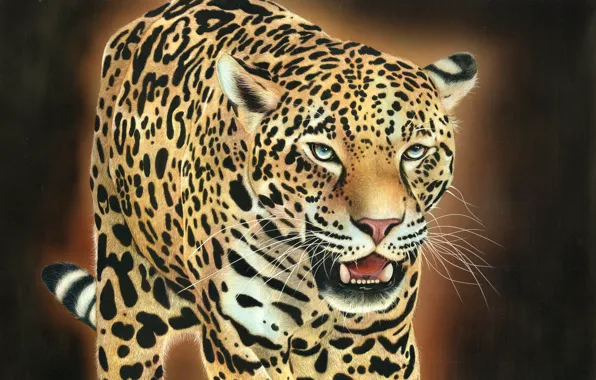 Cat, face, leopard, grin