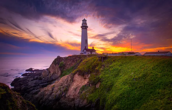 Sea, wave, greens, the sky, grass, clouds, light, landscape