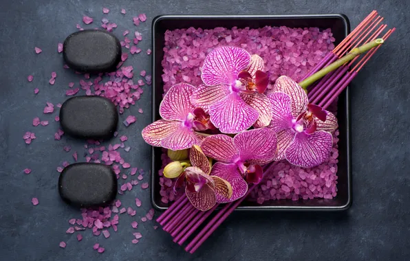 Picture flowers, branch, Orchid, sea salt