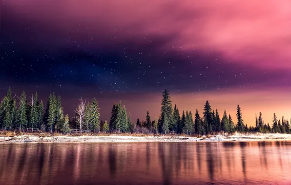Picture forest, the sky, stars, light, night, nature, river