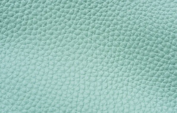 Surface, texture, leather, green, painted, relief, green, texture