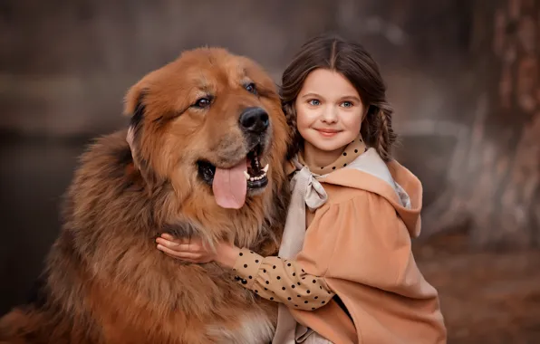 Portrait, dog, girl, friends, dog, Tibetan Mastiff, Valentine Ermilova