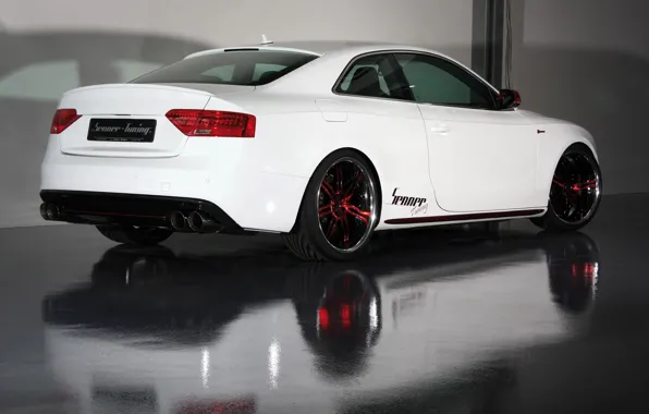 Picture white, Audi, audi, red, white, wheels, drives, senner tuning