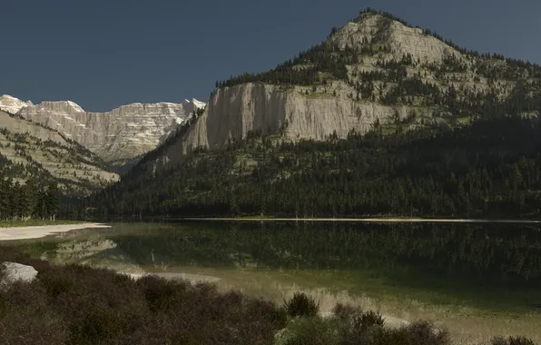 Picture forest, mountains, lake, reflection, rocks, art