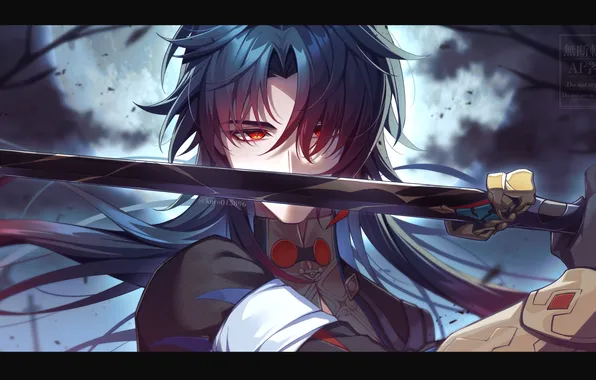 Night, the moon, sword, vampire, guy, Blade, Honkai: Star Rail