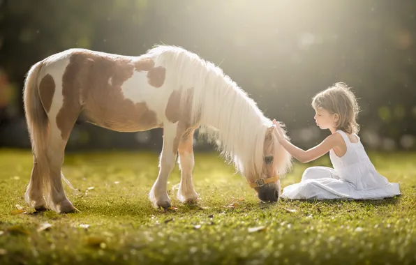 Summer, girl, pony