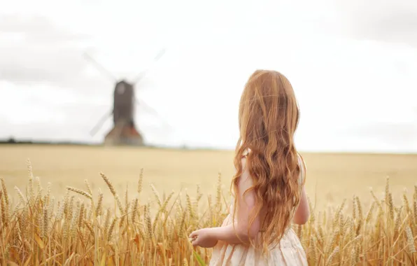 Hair, child, mill, girl, red, curls