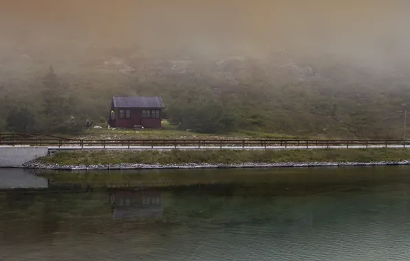 Road, forest, water, trees, nature, fog, house, river