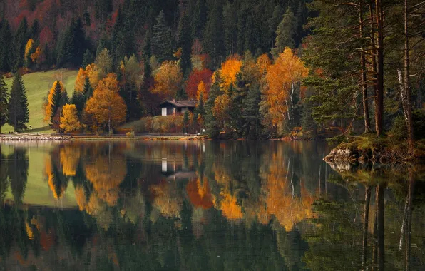 Autumn, forest, water, trees, lake, reflection, house