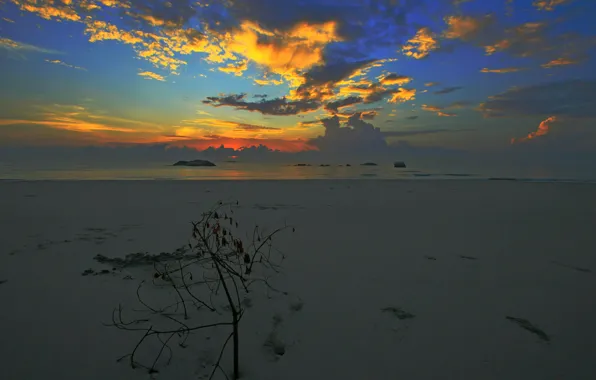 Picture sand, sea, the sky, clouds, shore, tide, glow