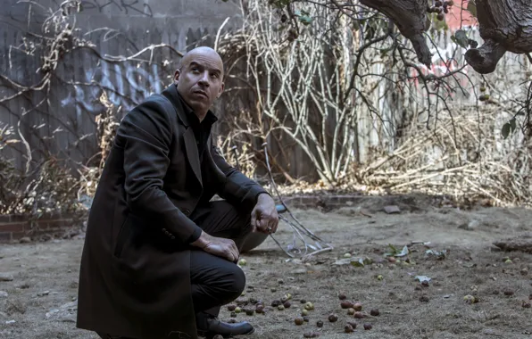 Picture look, trees, fantasy, VIN Diesel, adventure, action, coat, Vin Diesel