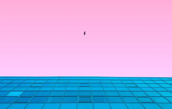 The sky, flight, style, background, pink, bird, the building, view