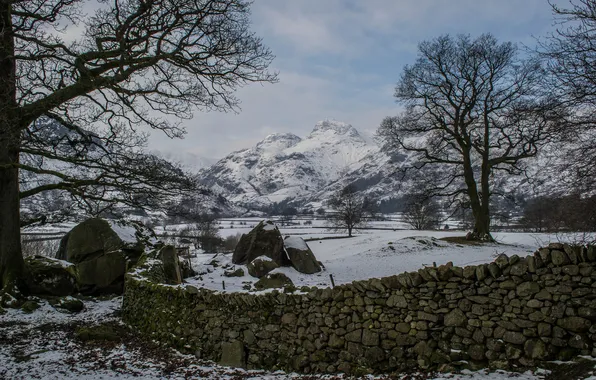 Winter, the sky, snow, trees, mountains, stones, the fence