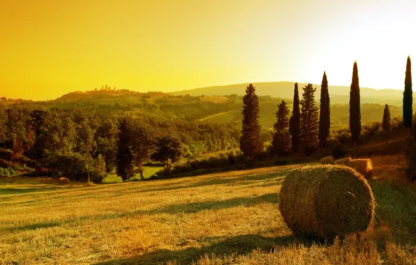 Field, the sky, the sun, trees, sunset, stack, hay, gold