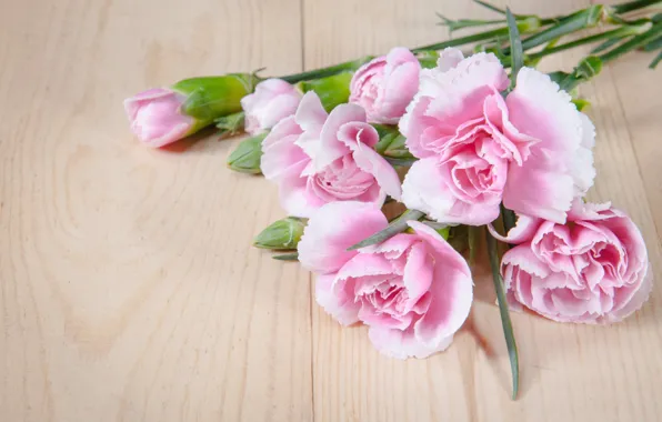 Picture flowers, bouquet, petals, pink, wood, pink, flowers, beautiful