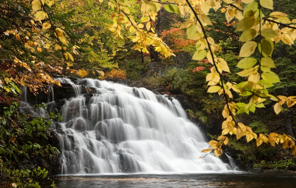 Autumn, forest, branches, waterfall, Canada, Canada, cascade, Nova Scotia