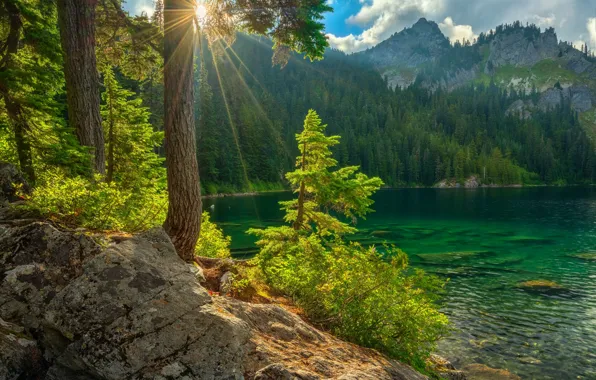 Picture greens, forest, summer, the sun, clouds, rays, light, mountains