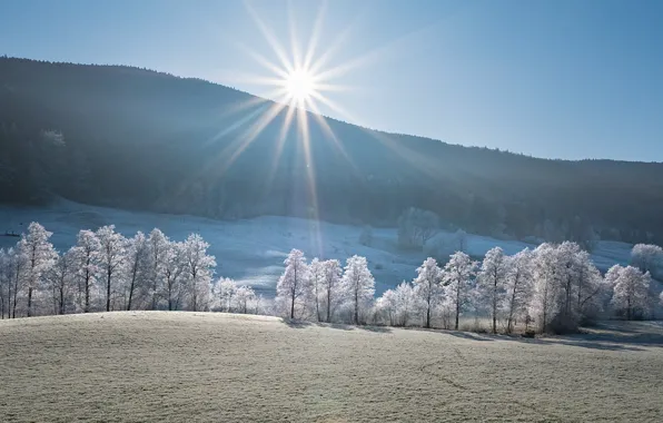 Wallpaper shadow, morning, slope, mountains, winter, frost, field, forest