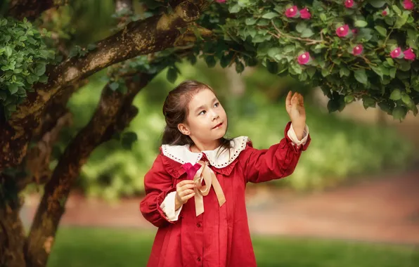 Picture leaves, flowers, nature, tree, dress, girl, child, Anastasia Barmina